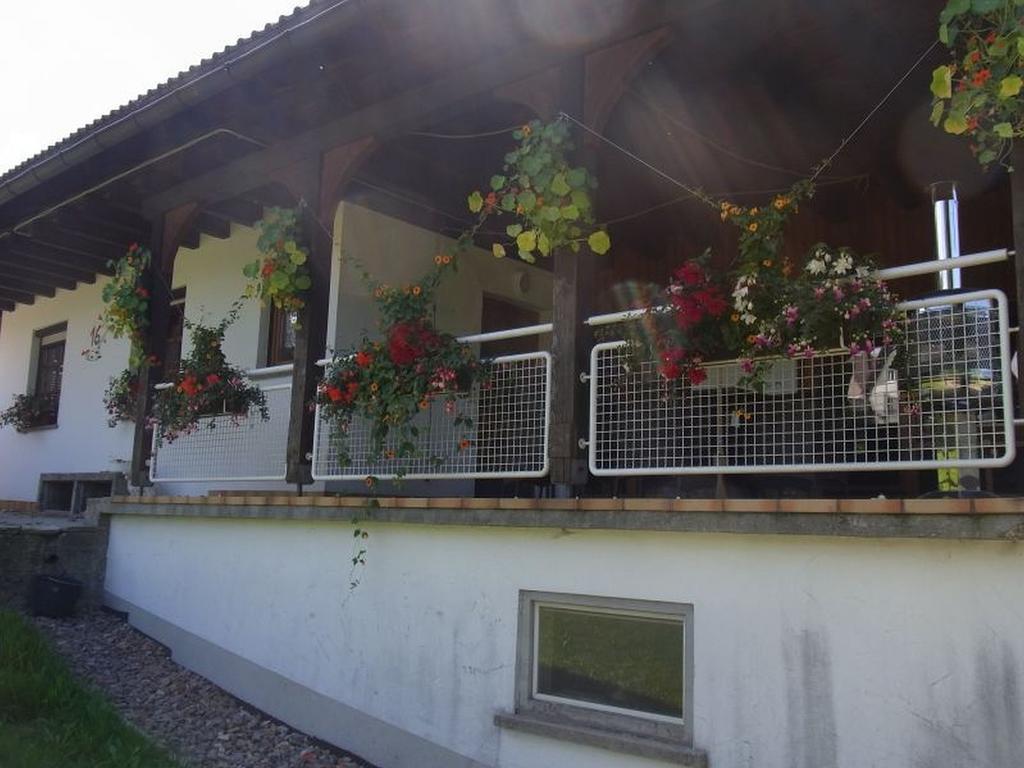 Apartamento Hoeflebauer Schonach im Schwarzwald Exterior foto