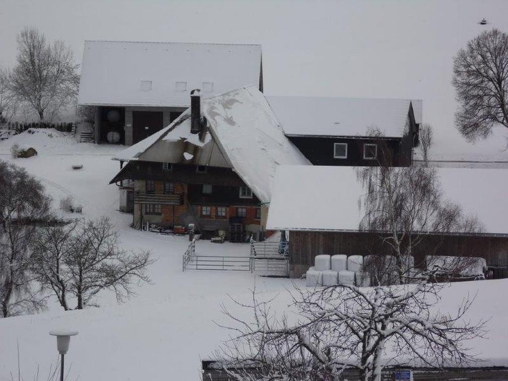 Apartamento Hoeflebauer Schonach im Schwarzwald Exterior foto