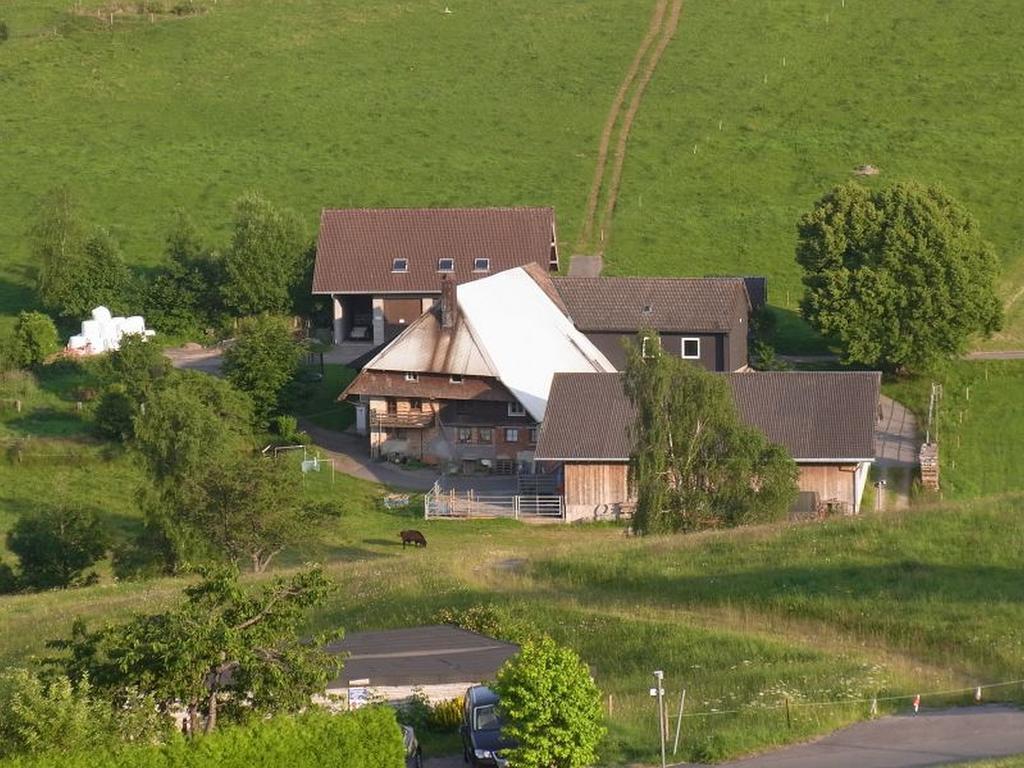 Apartamento Hoeflebauer Schonach im Schwarzwald Exterior foto